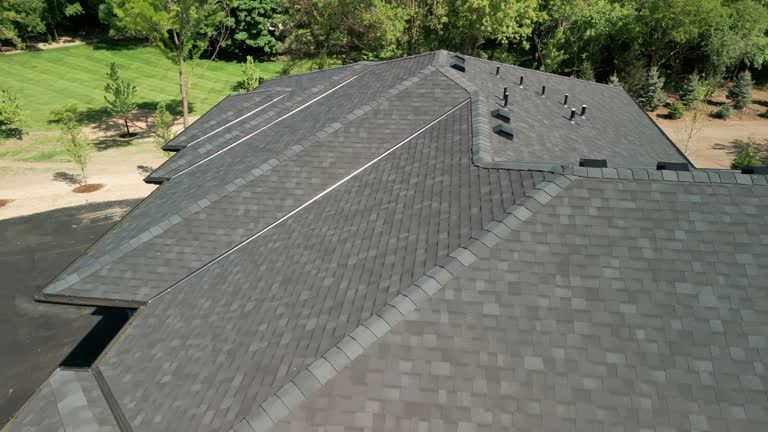 Best 4 Ply Roofing  in USA